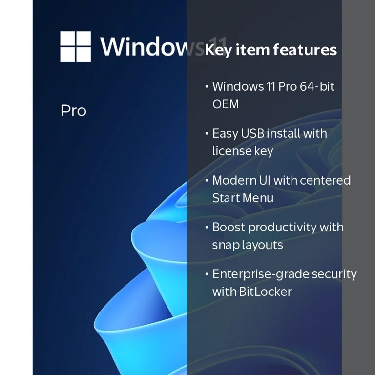 Microsoft Windows 11 Pro (USB - English) - Walmart.com