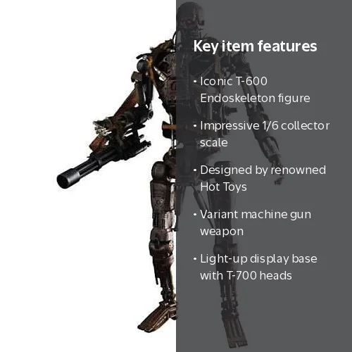 Hot Toys Terminator Salvation 1/6 Scale Figure T-600 Endoskeleton