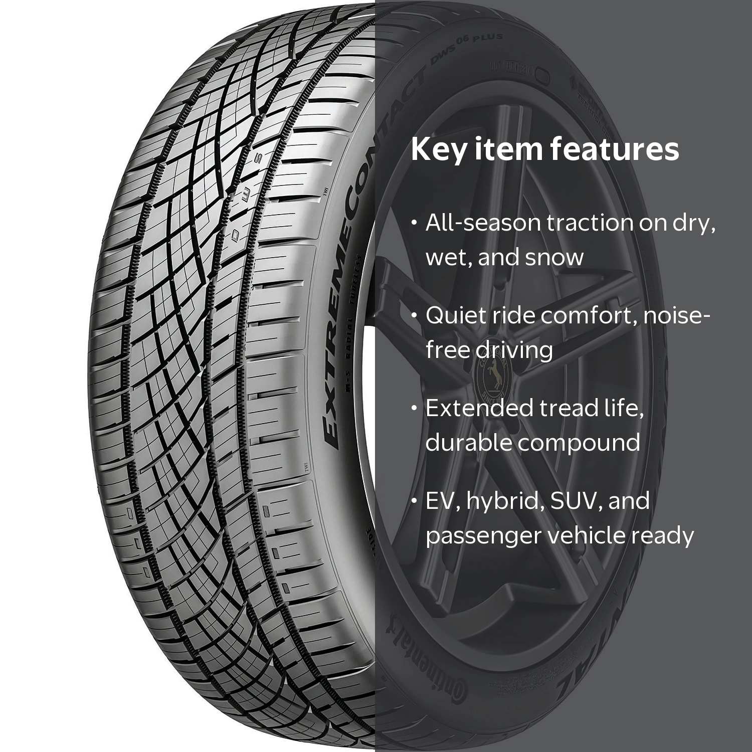 Continental ExtremeContact DWS 06 Plus 315/35ZR22 111Y XL AS High