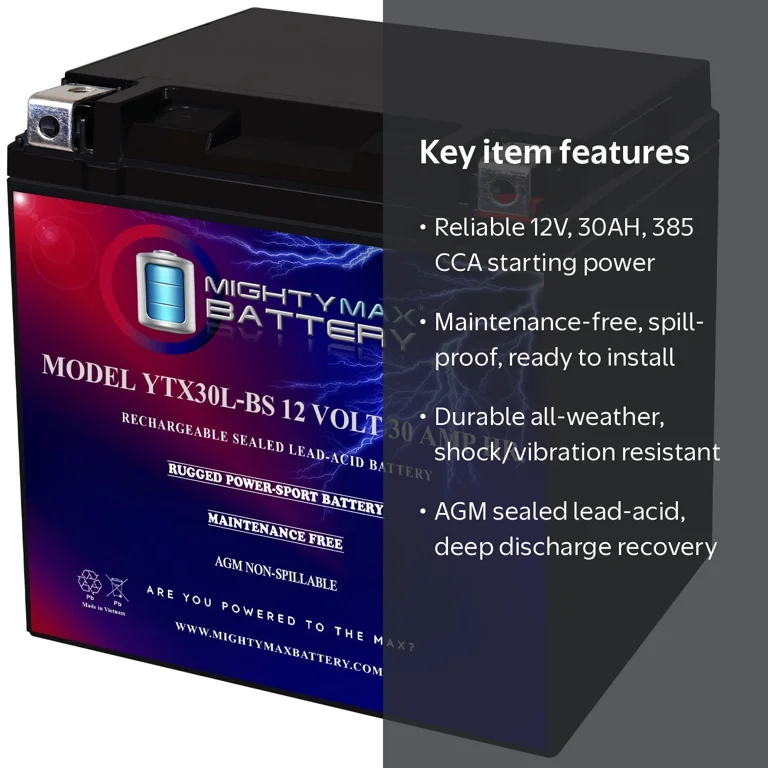 YTX30L-BS 12V 30AH Rechargeable, Maintenance-Free Battery Replaces