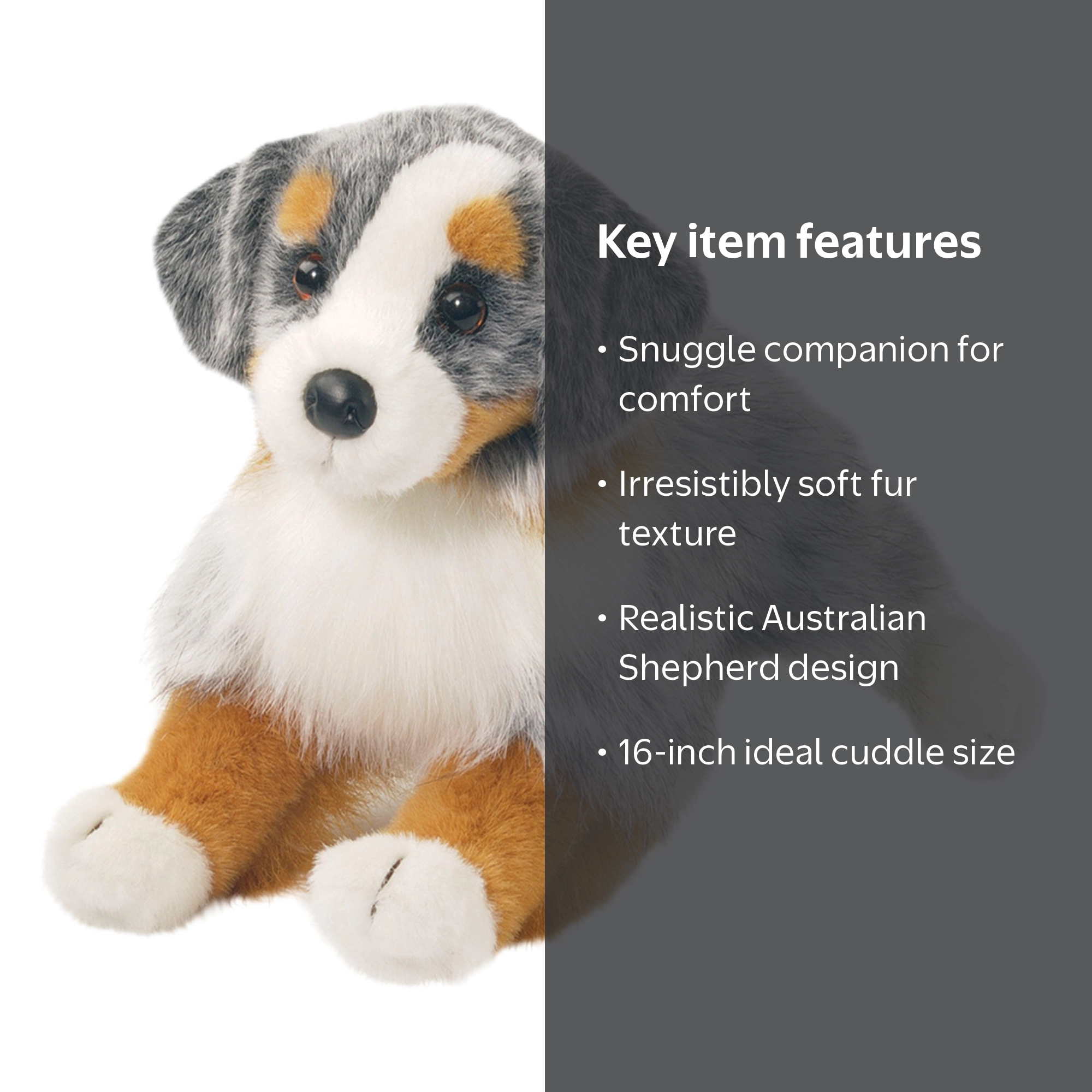 Douglas Sinclair Australian Shepherd 16