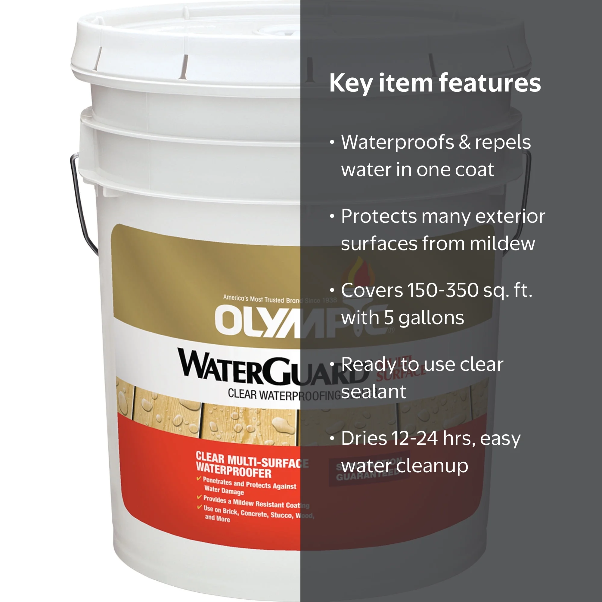 Olympic WaterGuard 5 Gallons Clear Multi-Surface Exterior