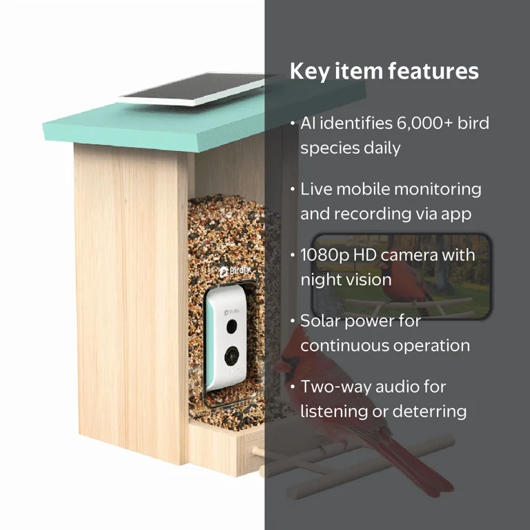 Birdfy Smart Bird Feeder with Camera, AI, Solar, Firwood, Cyan