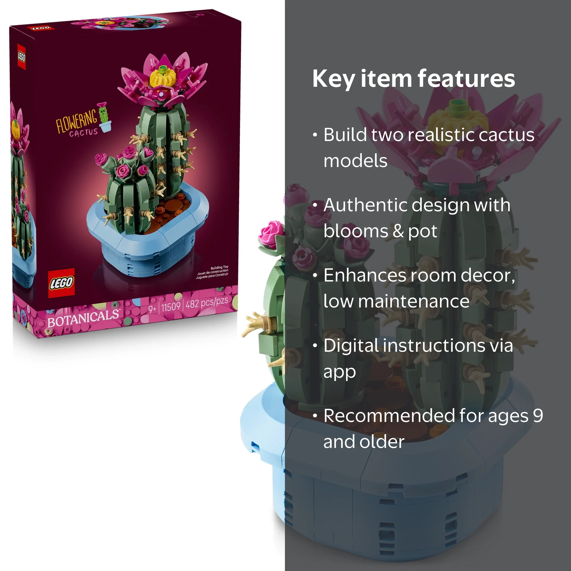 LEGO Botanicals Flowering Cactus Building Toy - Crafting Kit for Girls &  Boys, Ages 9+ - Gift for Kids & Adults - Room Decor for Bedroom or Book  Shelf - 11509 - Walmart.com
