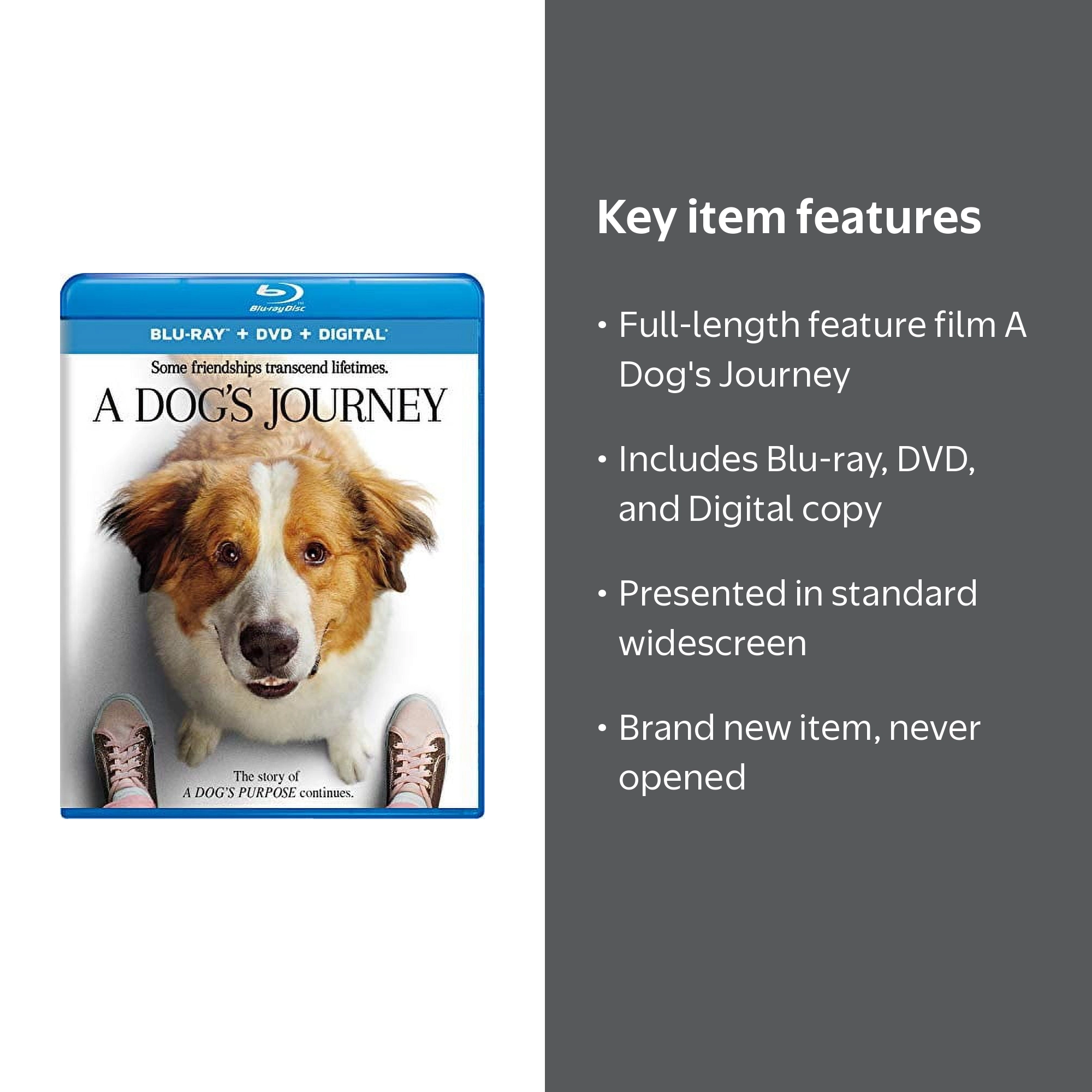 Universal, A Dog's Journey DVD Digital Blu-ray, 109 mins, Family