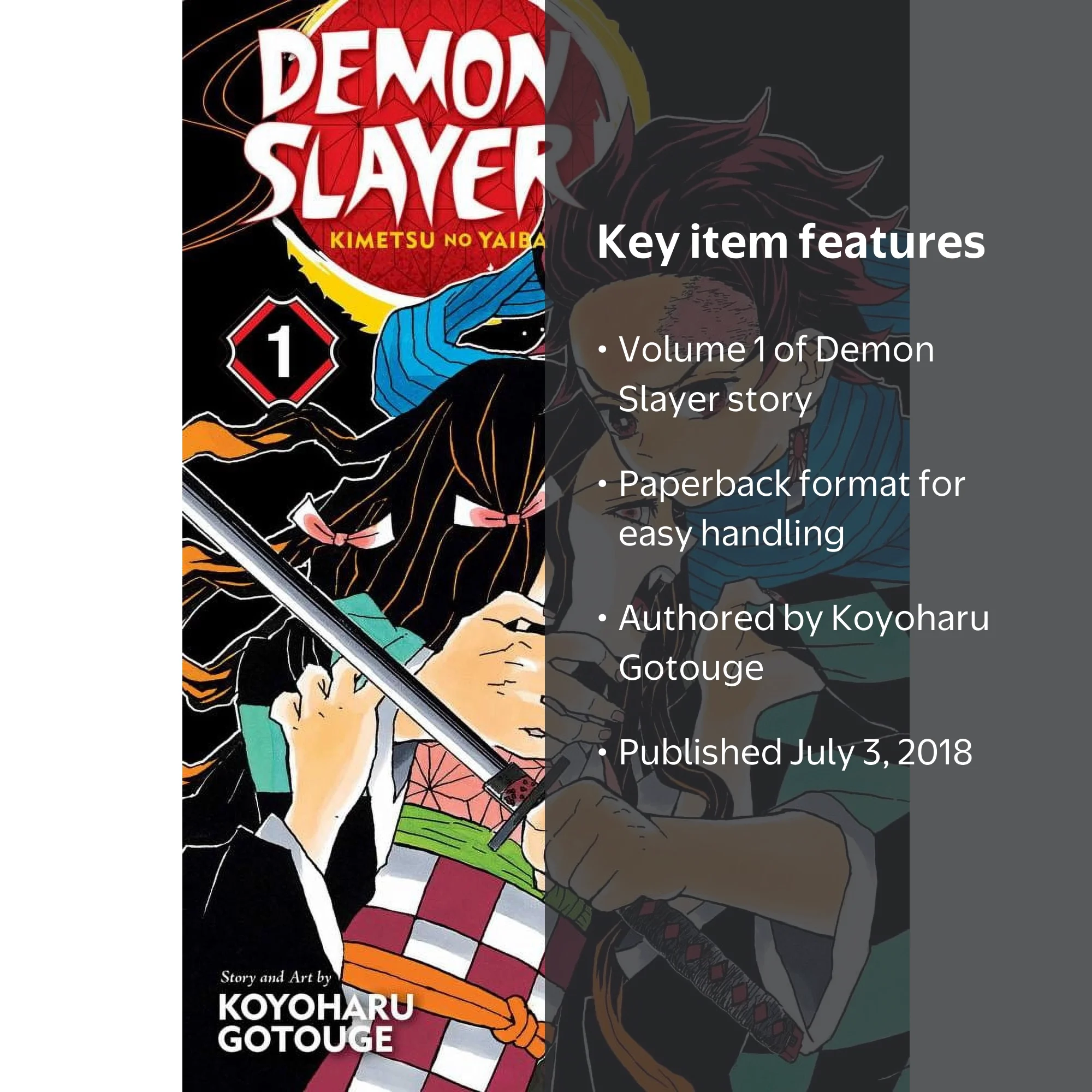 Koyoharu Gotouge Demon Slayer Kimetsu No Yaiba Vol 1 Paperback