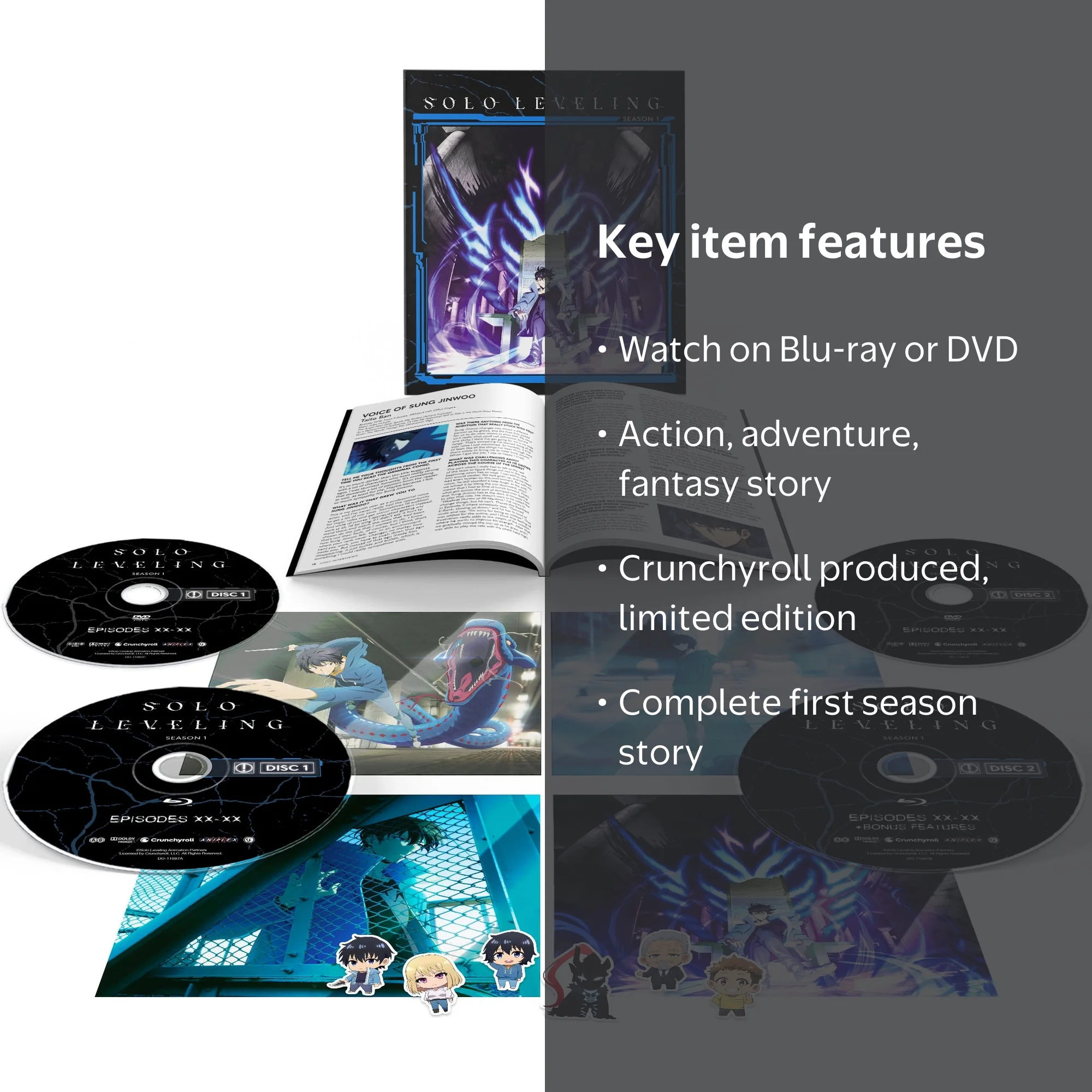 Limited Edition Solo Leveling: Season 1 (Blu-ray + DVD) - Walmart.com