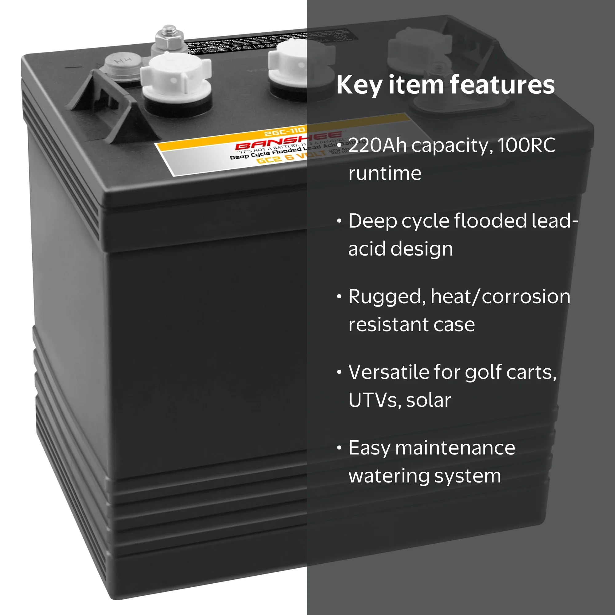 Banshee Heavy Duty 6V Flooded Lead Acid Battery, Replaces Trojan