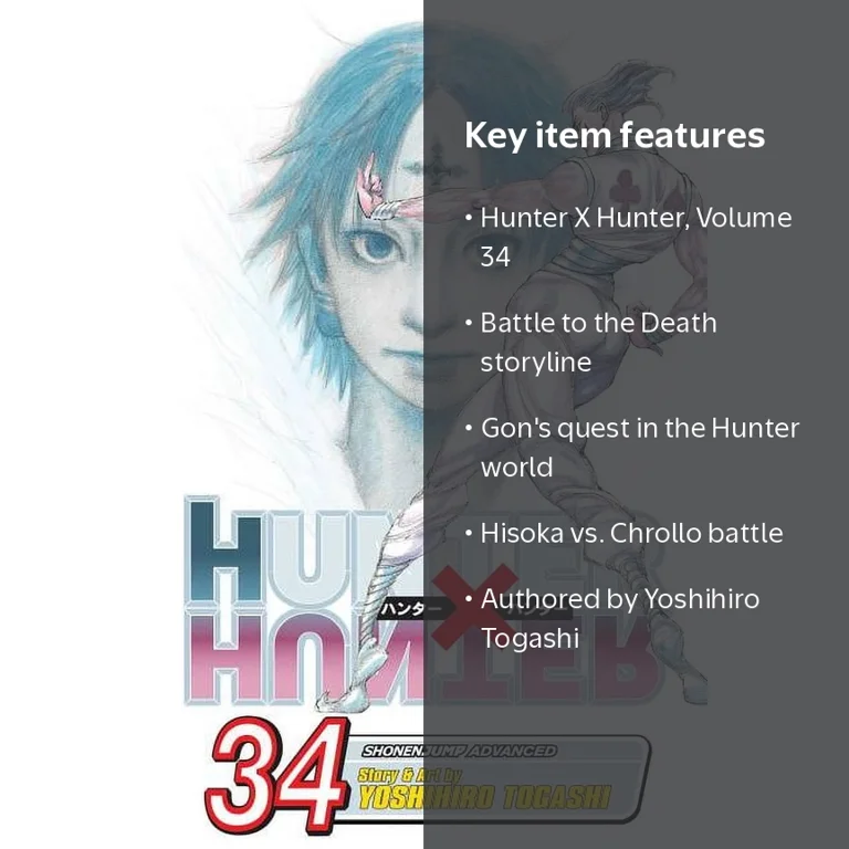Hunter X Hunter, Vol. 34: Battle to the Death, Paperback - Walmart.com