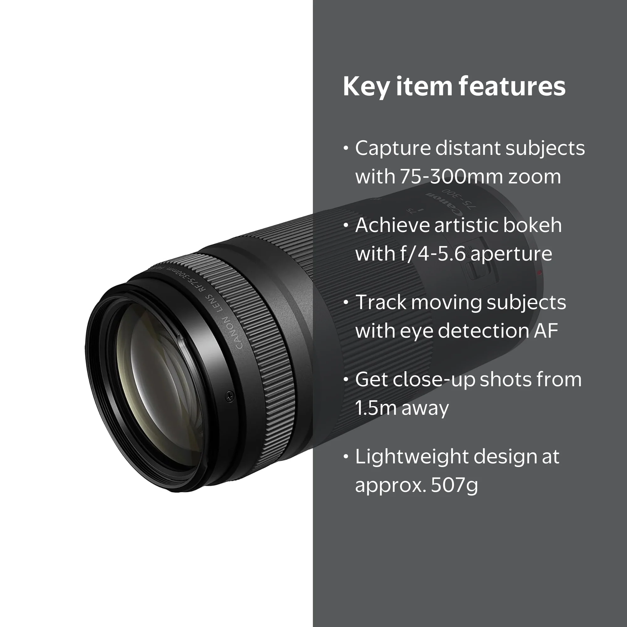 Canon RF 75-300mm F4-5.6 (International Version) - Walmart.com
