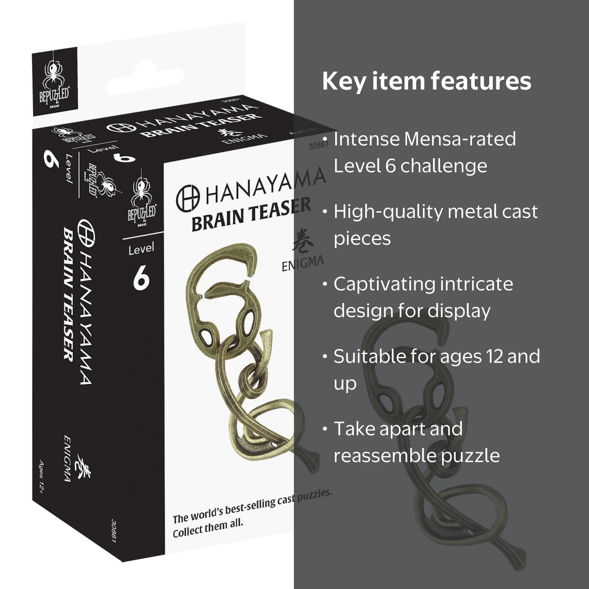 BePuzzled, Enigma Hanayama Metal Brainteaser Puzzle Level 6 Ages