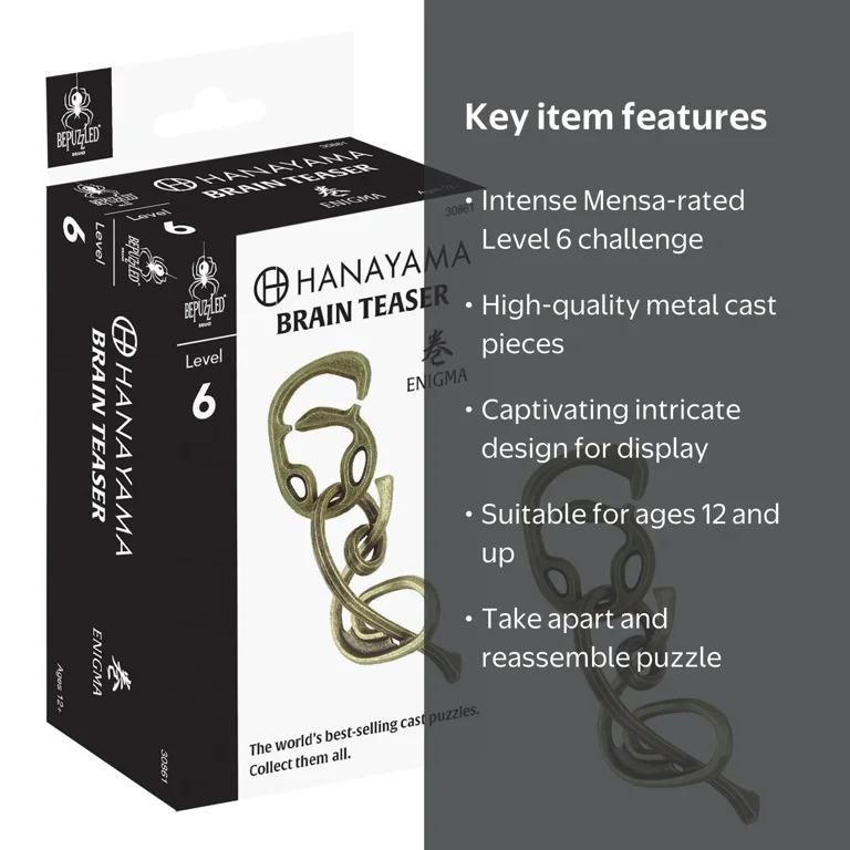 BePuzzled, Enigma Hanayama Metal Brainteaser Puzzle Level 6 Ages