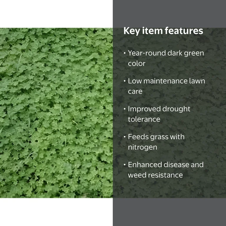Micro Clover Seed