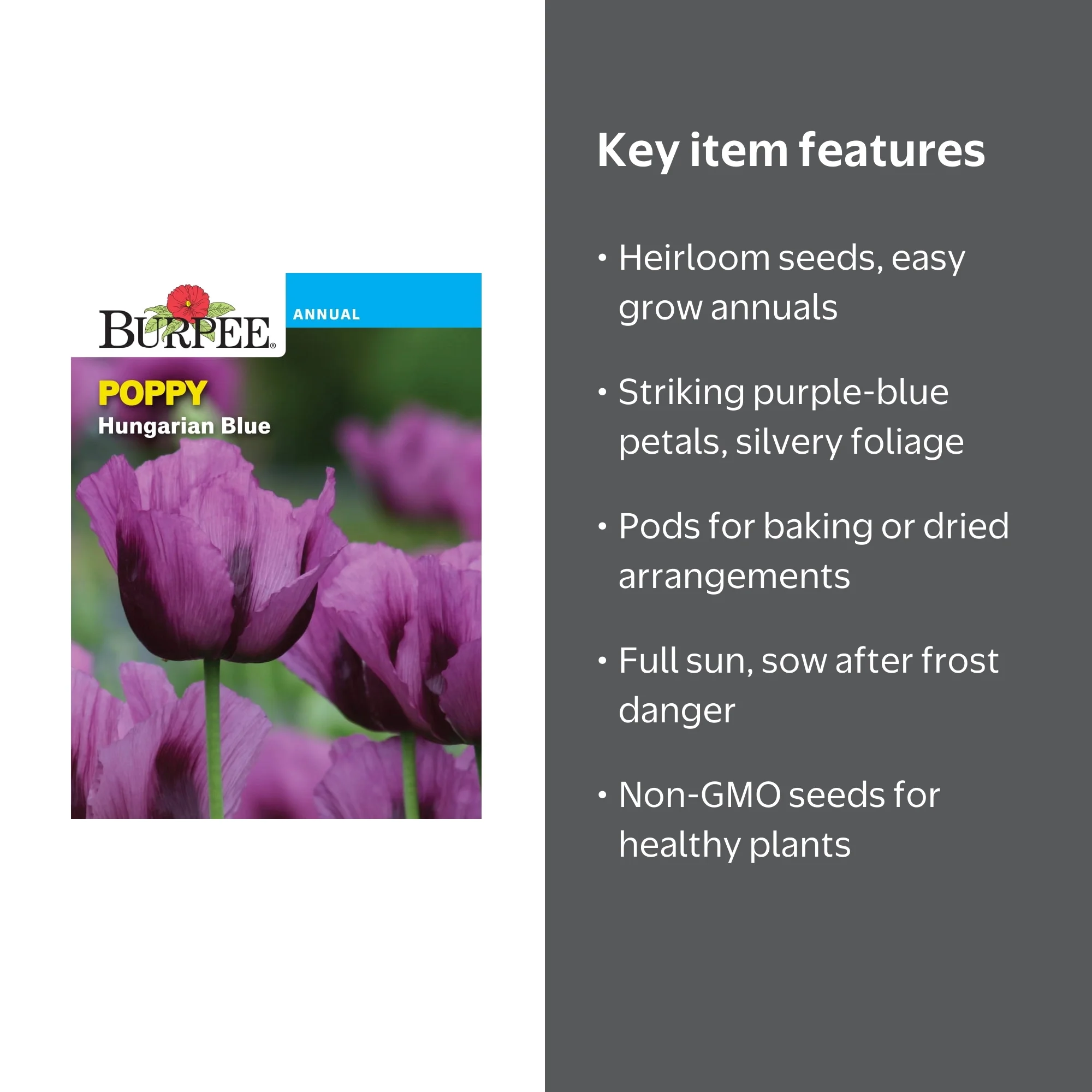 Burpee Hungarian Blue Poppy Flower Seed, 1-Pack - Walmart Business