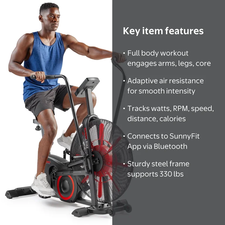 bike trainer best fan bike for home