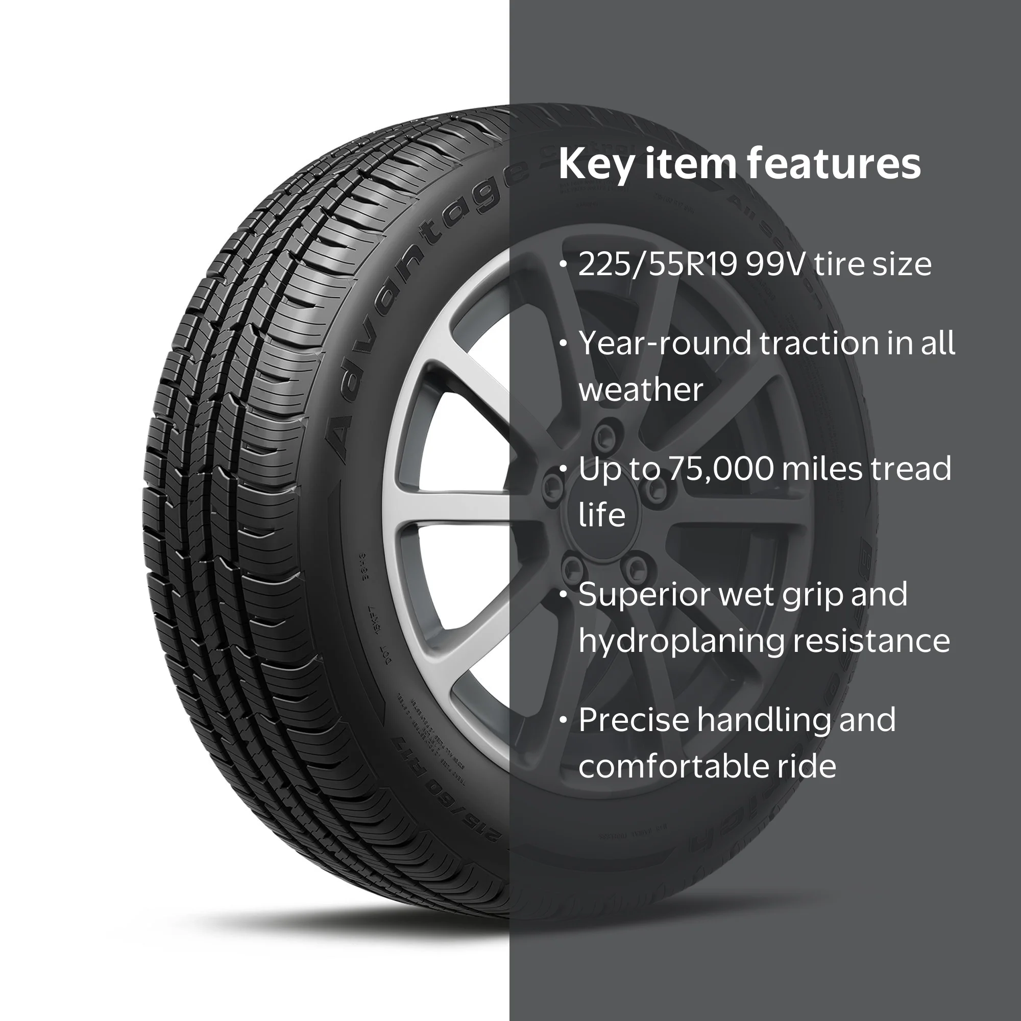 BFGoodrich Advantage Control All-Season 225/55R19 99V Tire
