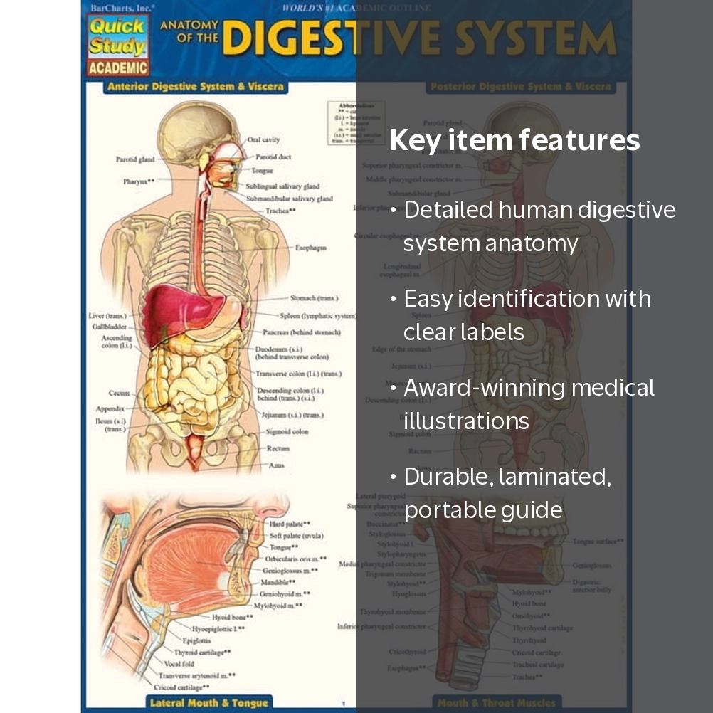 QuickStudy Laminated Digestive System Reference Guide, Edition 2