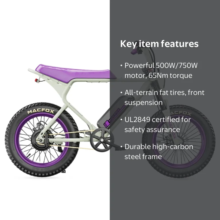 Macfox X1S x BS.ZAY Electric Bike | UL2849 Certified - Exclusive