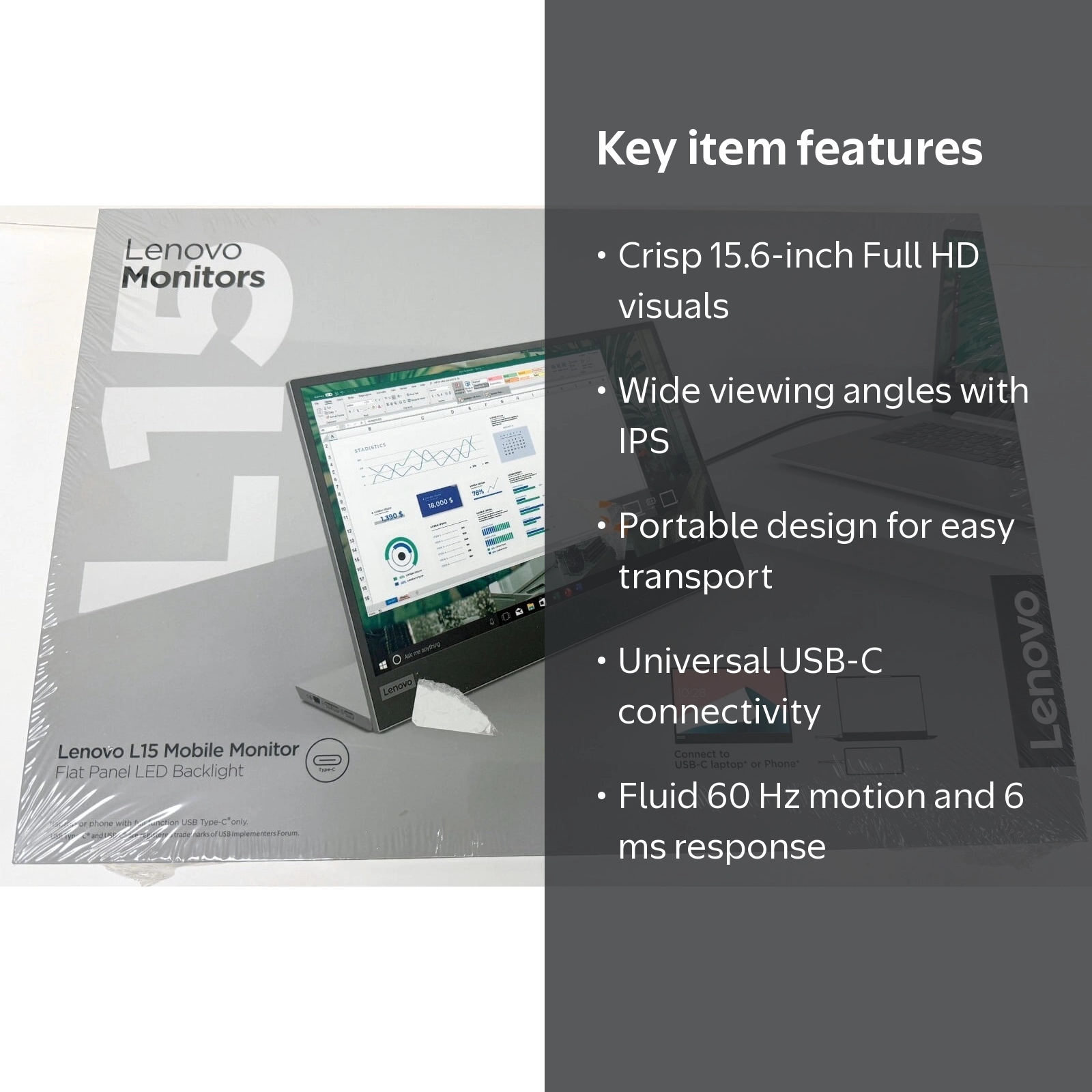 Lenovo, Computer Monitor, L15 15.6