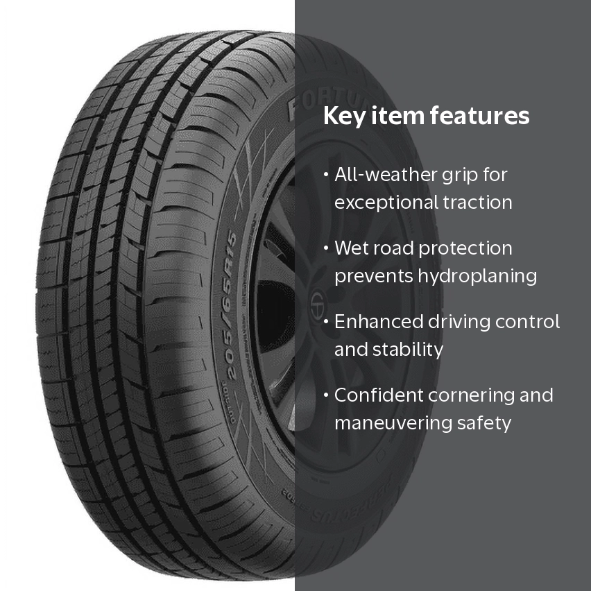 Fortune Perfectus FSR602 All Season 225/50R17 98V XL Passenger