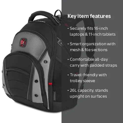 Victorinox Synergy 16in Lightweight Travel Laptop Backpack with