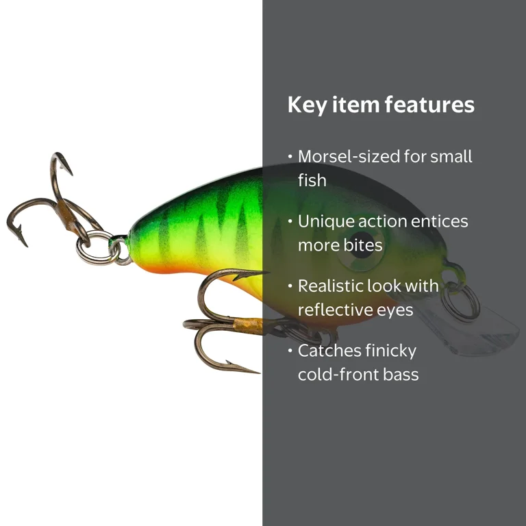 bite action fishing lure Big Baits Best Skipper Ever 2.5 Inch Mighty Bite Pro Kit -