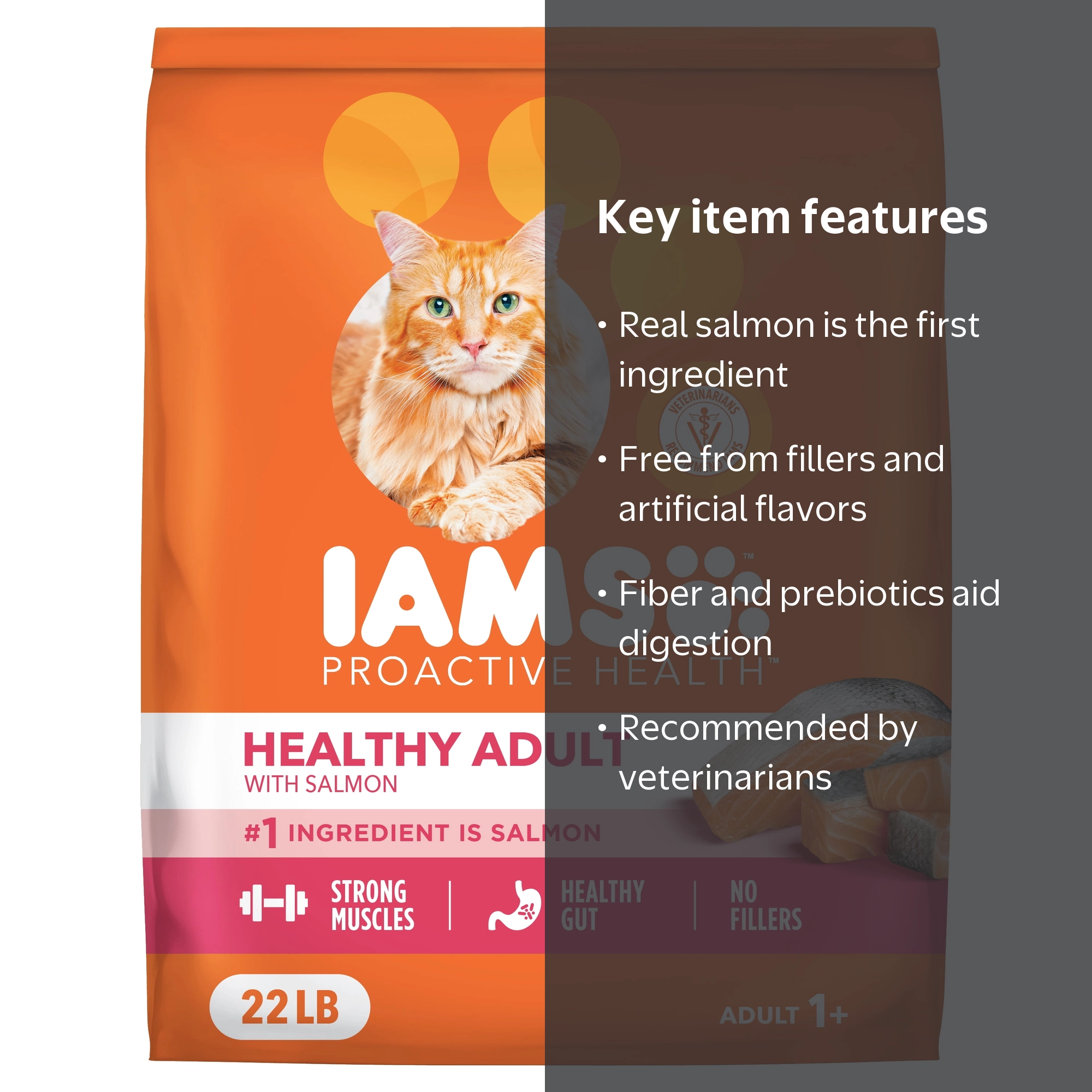 IAMS Proactive Health Adult Dry Cat Food with Real Salmon, 22 lb