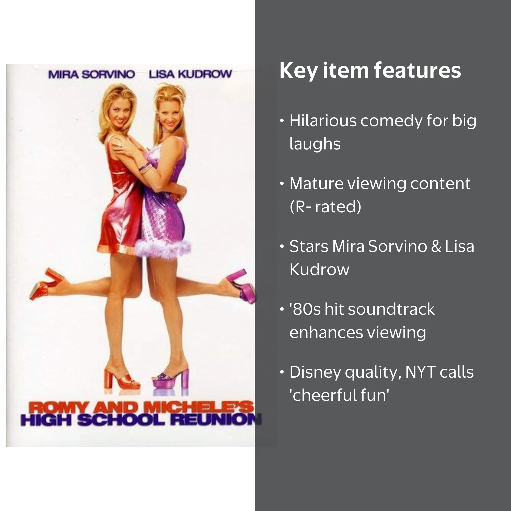 Disney's Romy and Michele's High School Reunion Comedy DVD