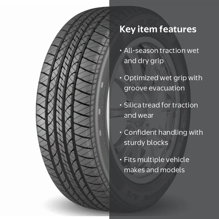 Douglas Touring A/S 205/65R16 95H All-Season Tire - Walmart.com
