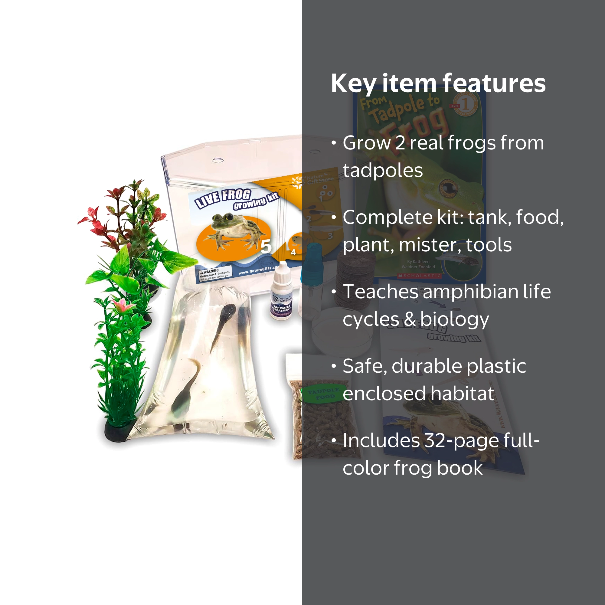 Live Tadpole to Frog Kit with Habitat, Certificates, Food & Book