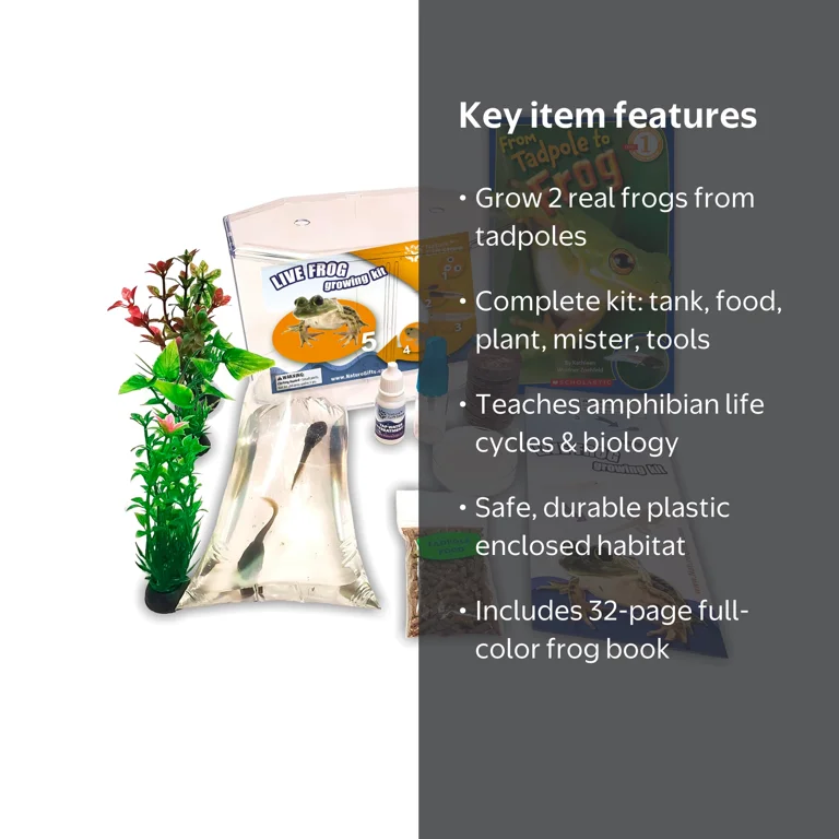 Live Tadpole to Frog Kit with Habitat, Certificates, Food & Book