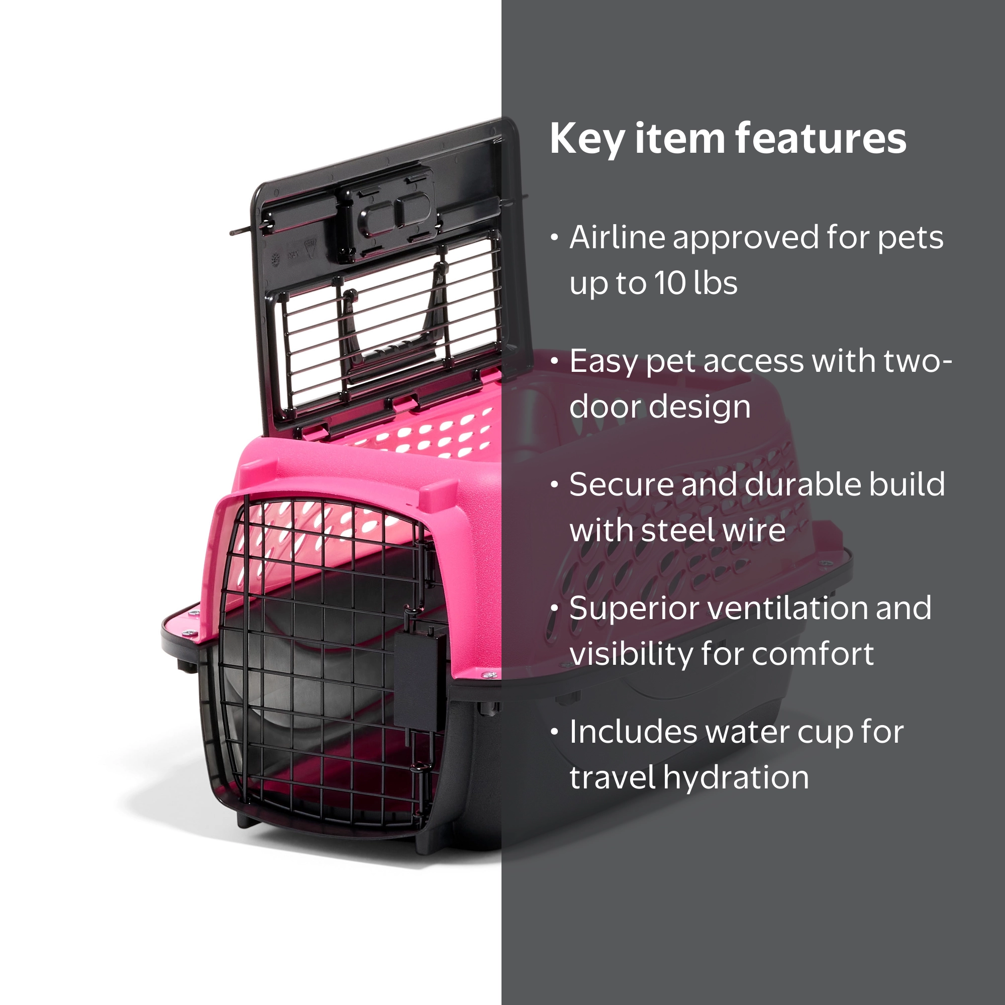 Petmate Plastic Carrier for Dogs & Cats, 2 Door Top Load Travel