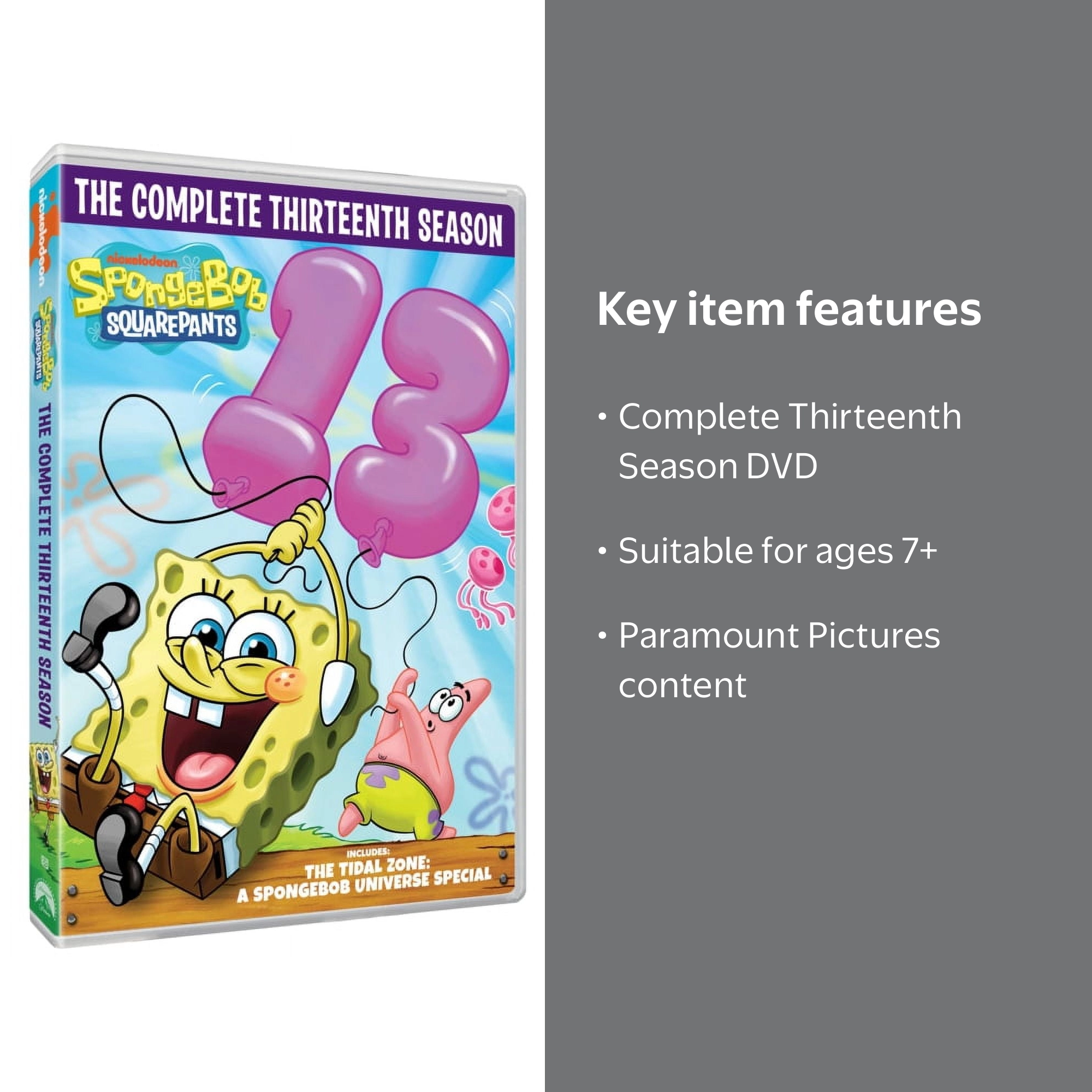 SpongeBob SquarePants: The Complete Thirteenth Season (DVD