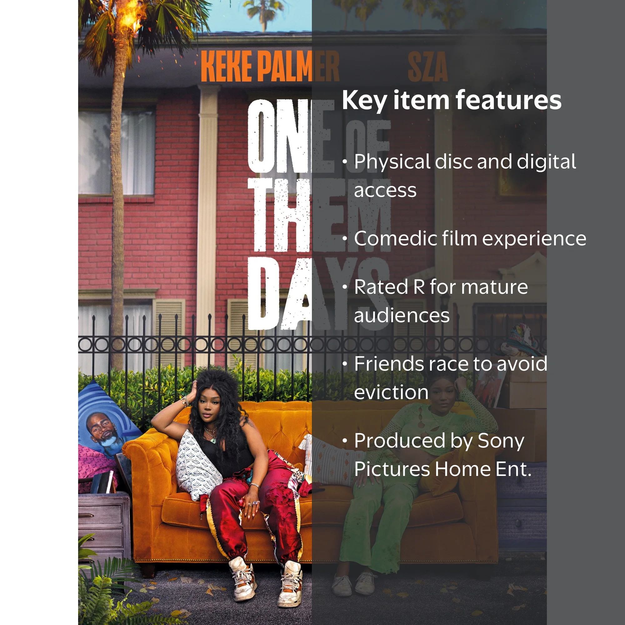 One Of Them Days (DVD + Digital Copy) Sony Comedy - Walmart.com