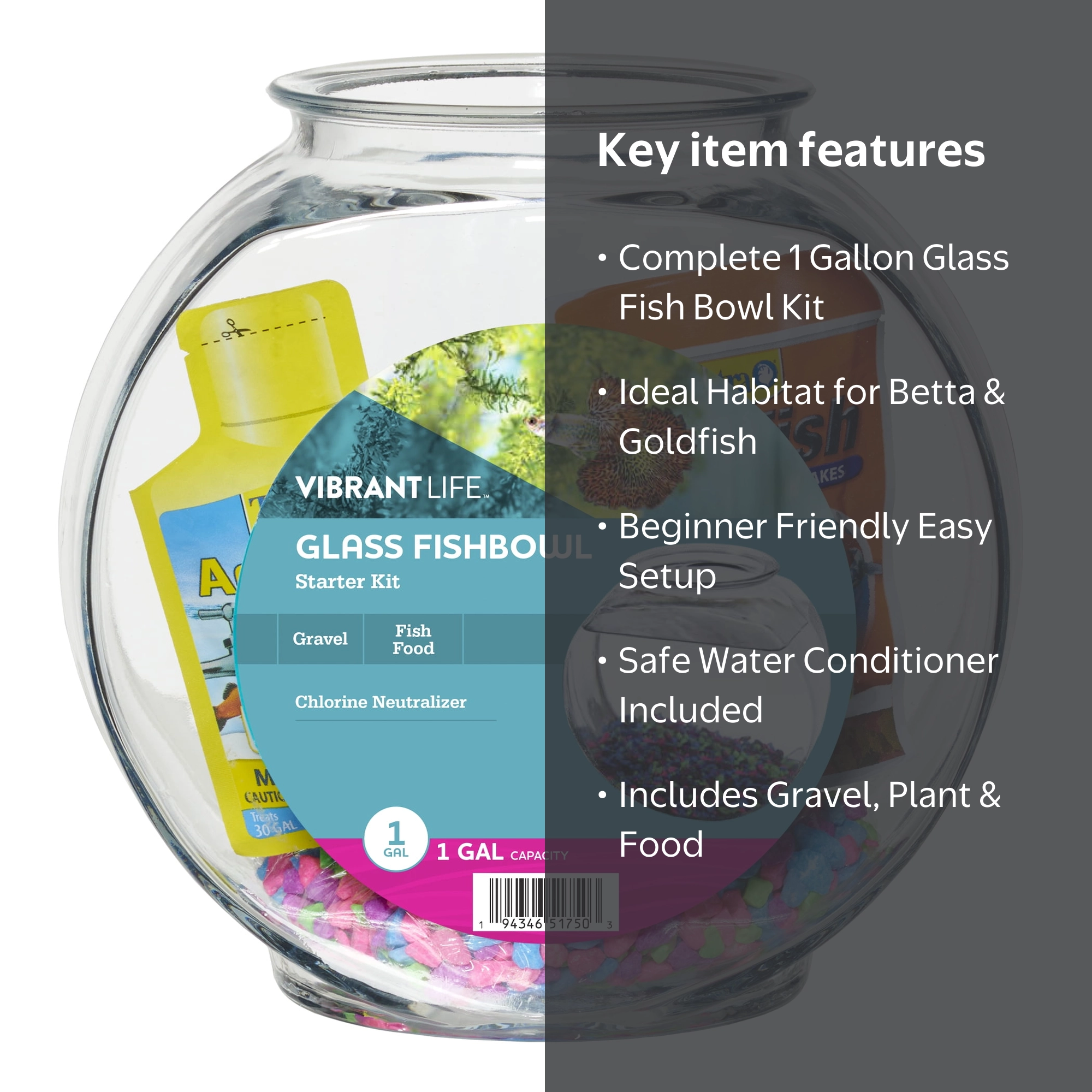 Vibrant Life 1 Gallon Glass Fish Bowl Starter Kit with Colorful