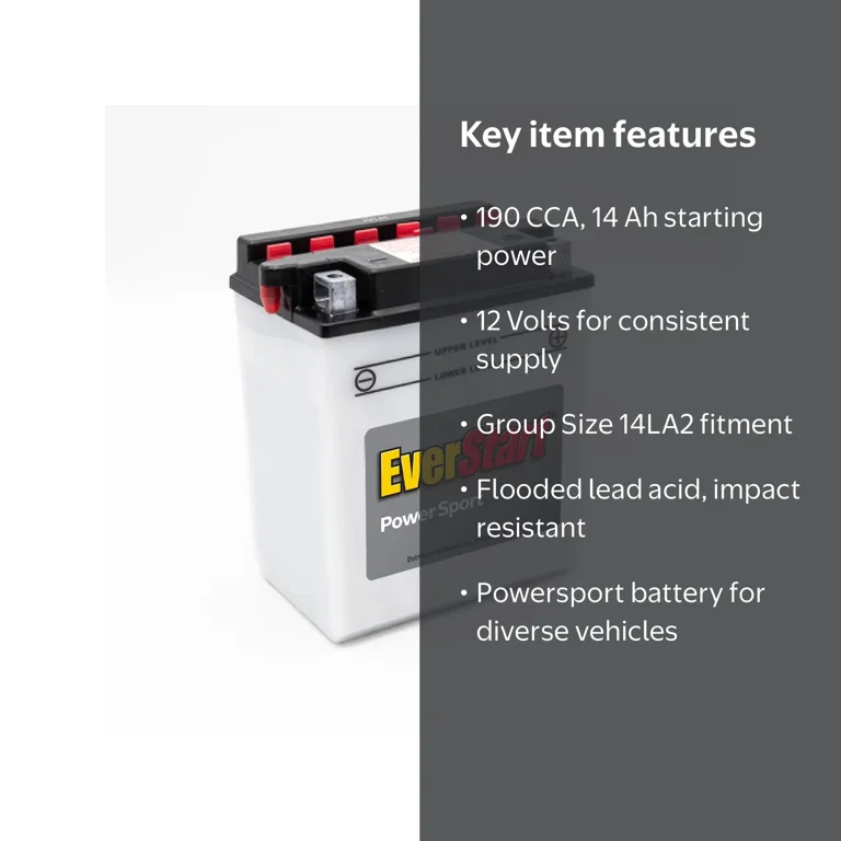Free Shipping! EverStart Lead Acid PowerSport Battery, Group Size