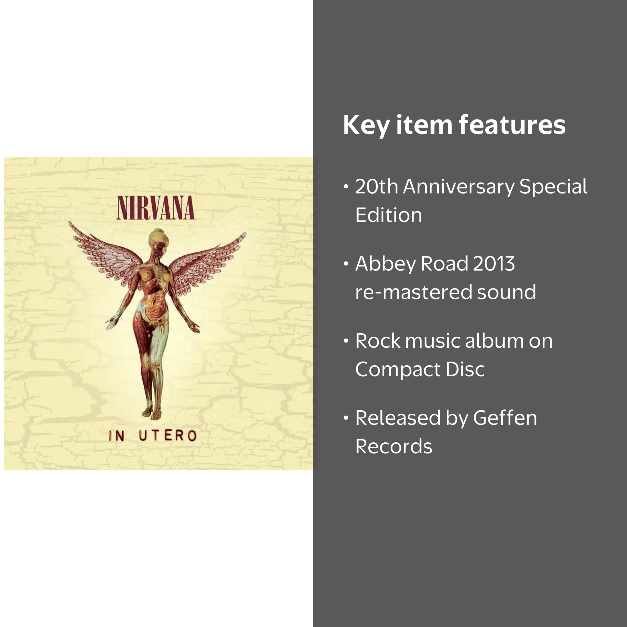Nirvana - In Utero (20th Anniversary Edition) - Music