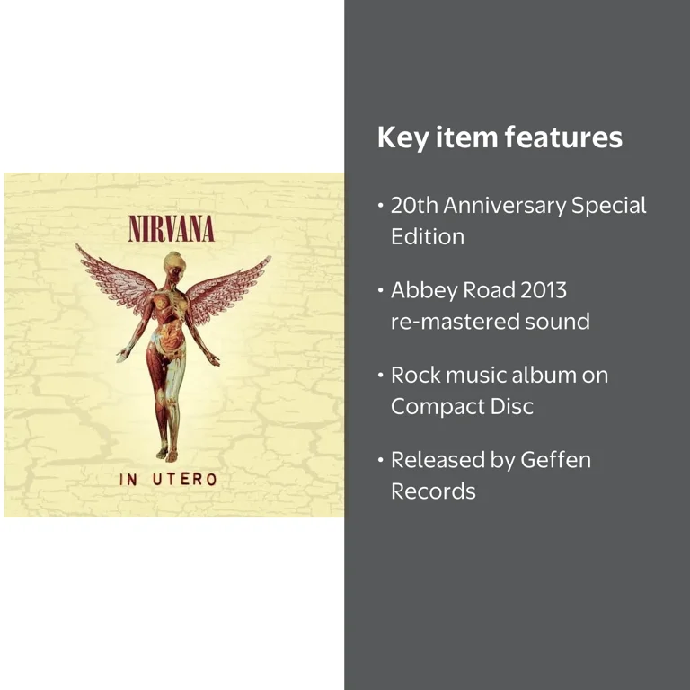 Nirvana - In Utero (20th Anniversary Edition) - Music