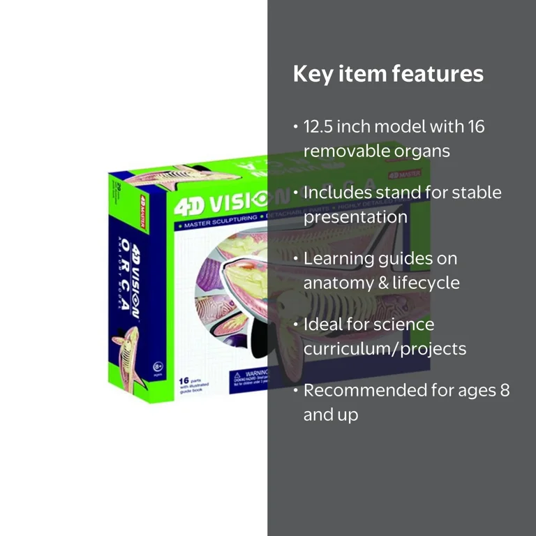 Tedco Toys 4D Vision Orca Anatomy Model - Walmart.com