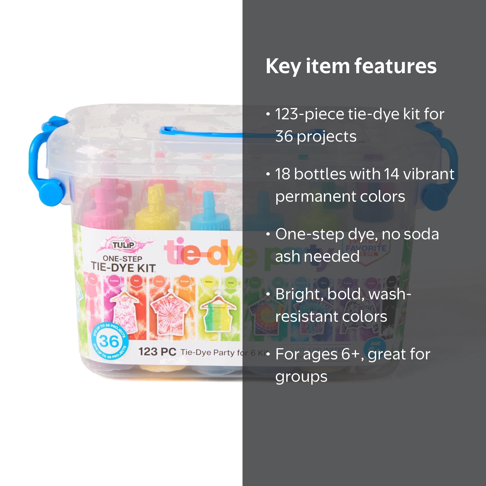 Tulip One-Step Crafts Tie-Dye Party Kit: 123 pieces for Group Fun