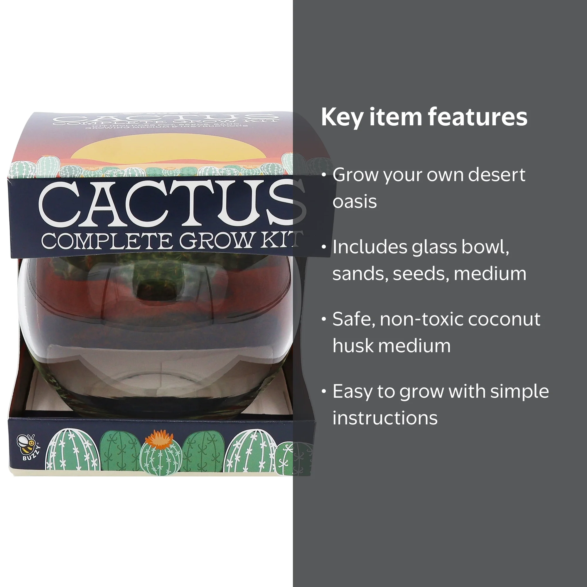 Buzzy Cactus Succulent Garden Terrarium Grow Kit - Walmart.com