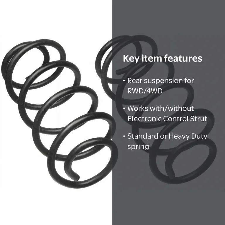Moog 81069 Coil Springs, Rear - Walmart.com