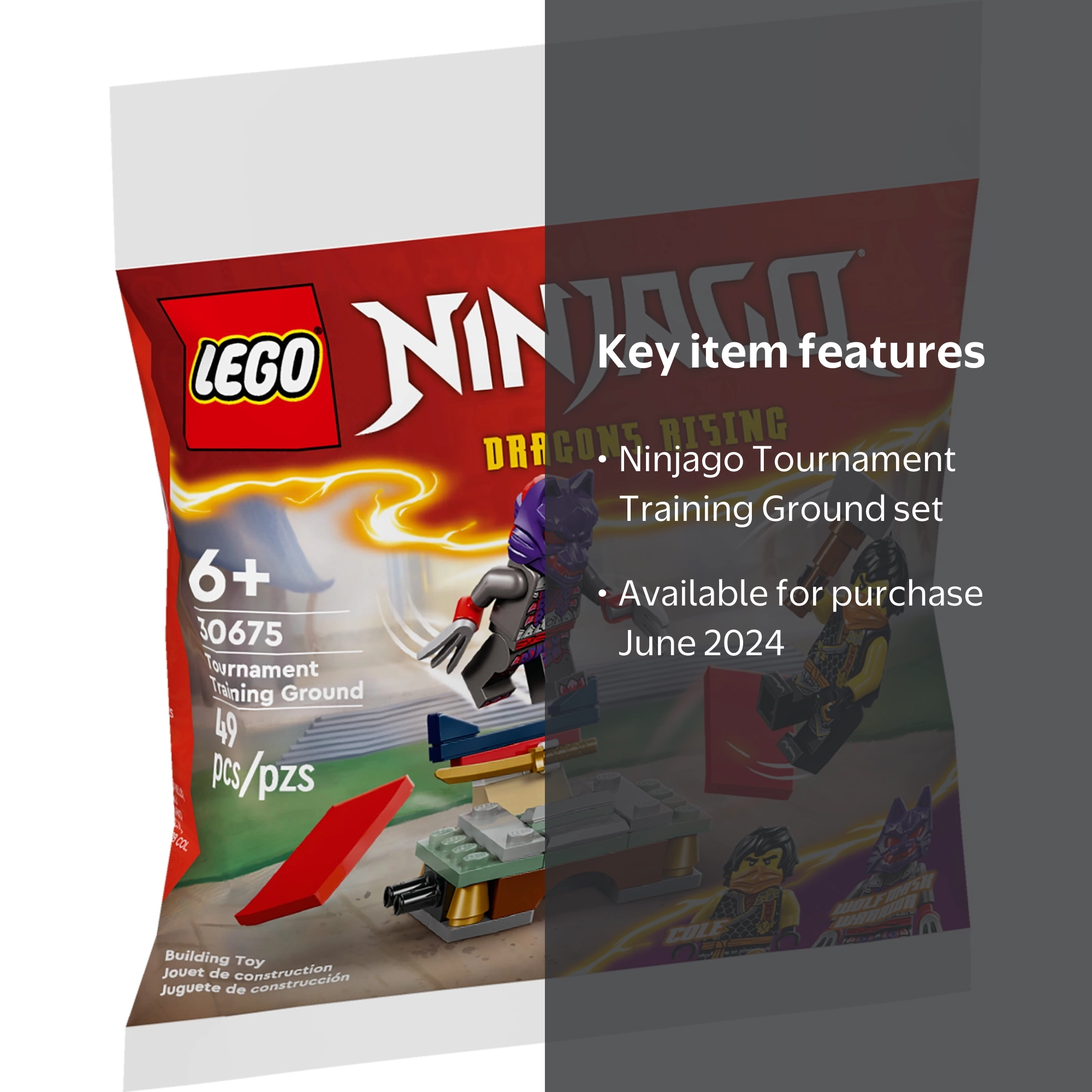 LEGO Ninjago Tournament Training Ground 30675 for Age 6+ - Walmart.com