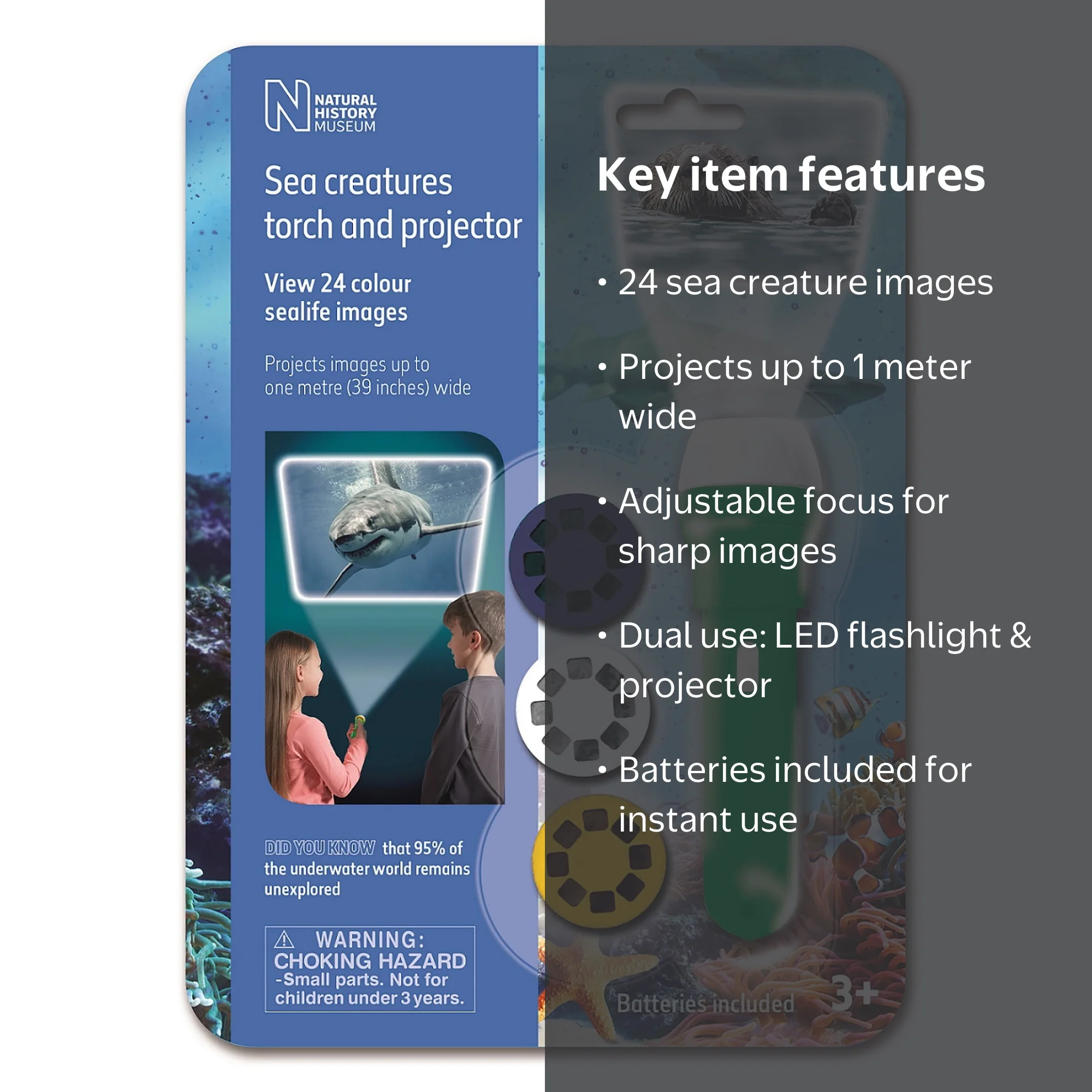 Bill Nelson Flashlight Dreams DVD 輸入盤 Natural History Museum Sea Creatures Flashlight and Projector 24