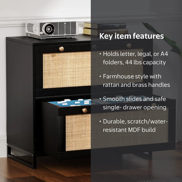 Ktaxon, Wood Locking File Cabinets, 2-Drawer Lateral, Black