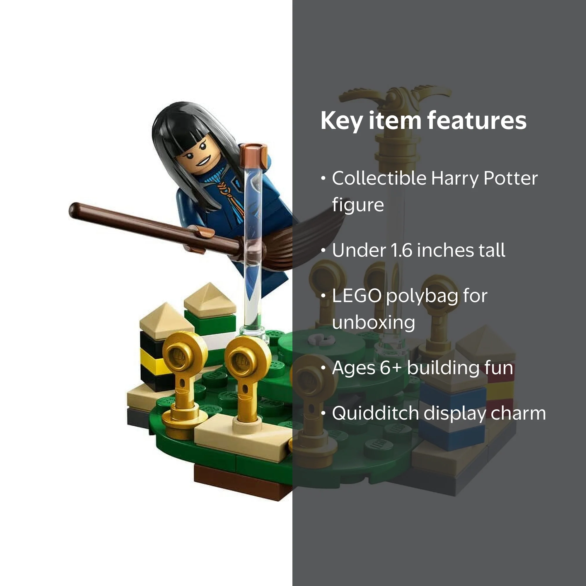 LEGO Harry Potter Quidditch Practice Polybag 30651 Building Set
