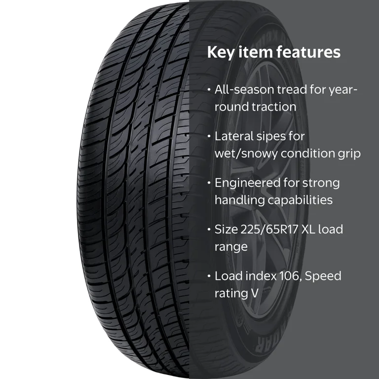 Radar Dimax AS-8 225/65R17 106V XL All-Season Passenger Tire for