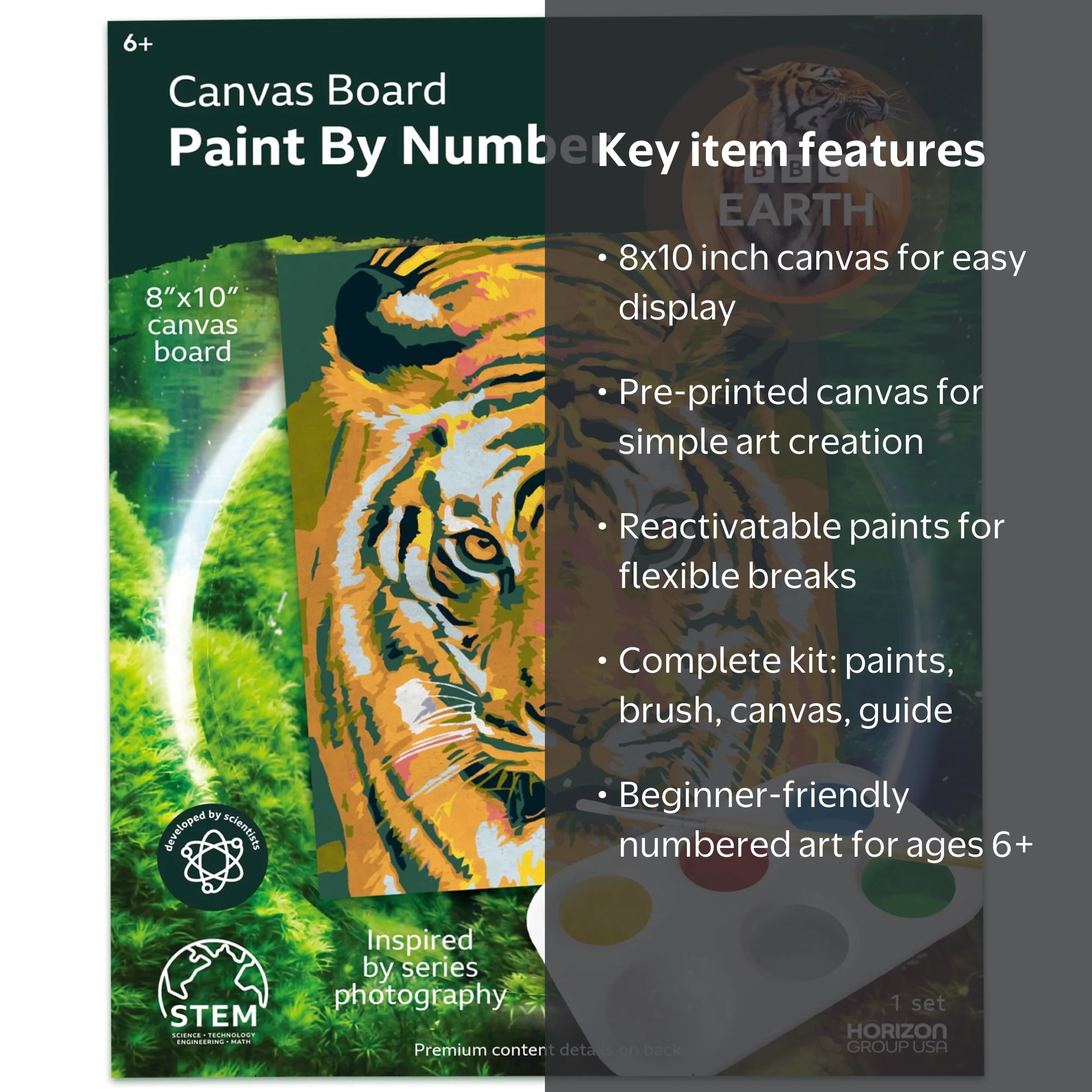 BBC Earth Canvas Board Paint by Numbers, Tiger - Walmart.com