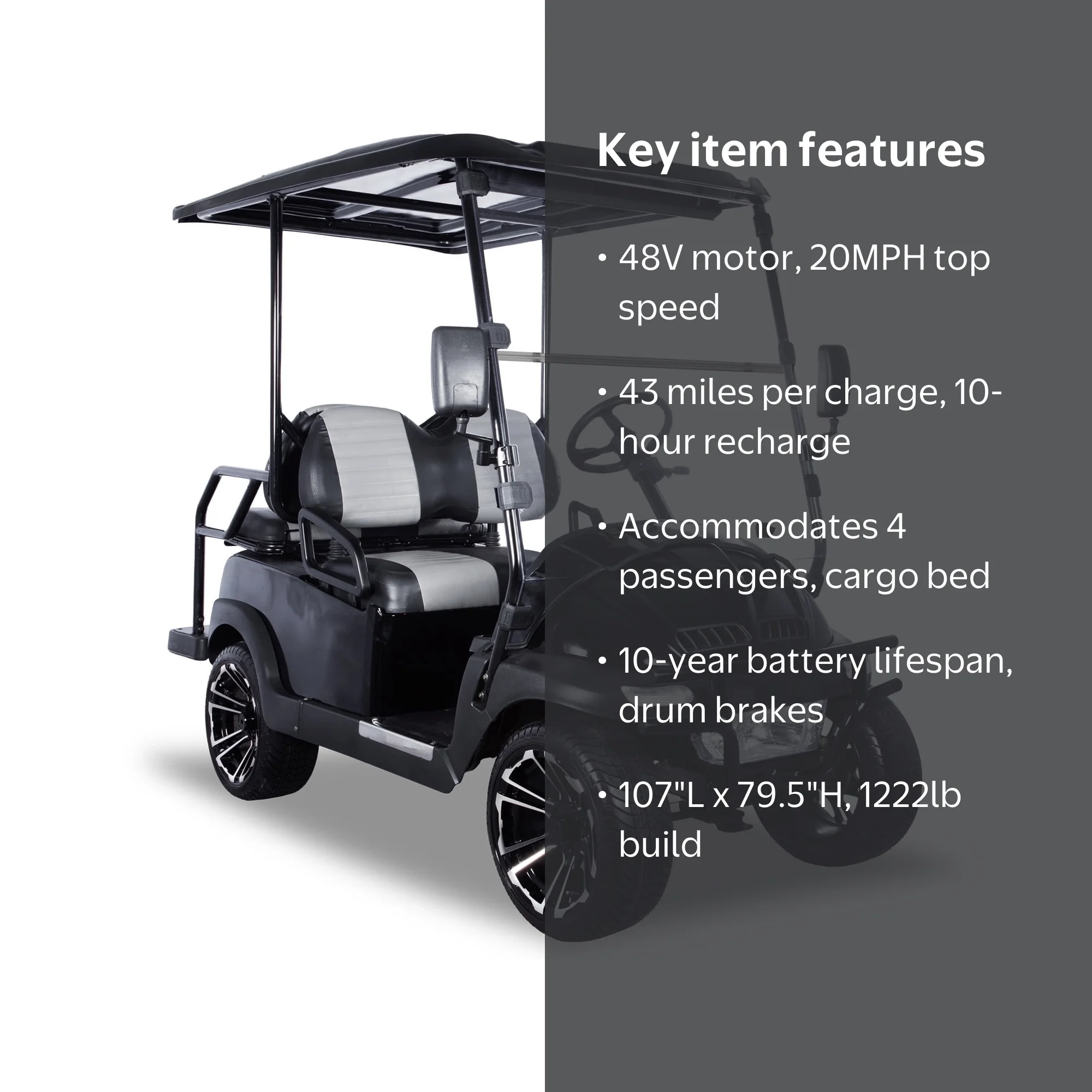ACE Electric Golf Cart/EV, 48V motor, 20MPH max speed, Rear flip