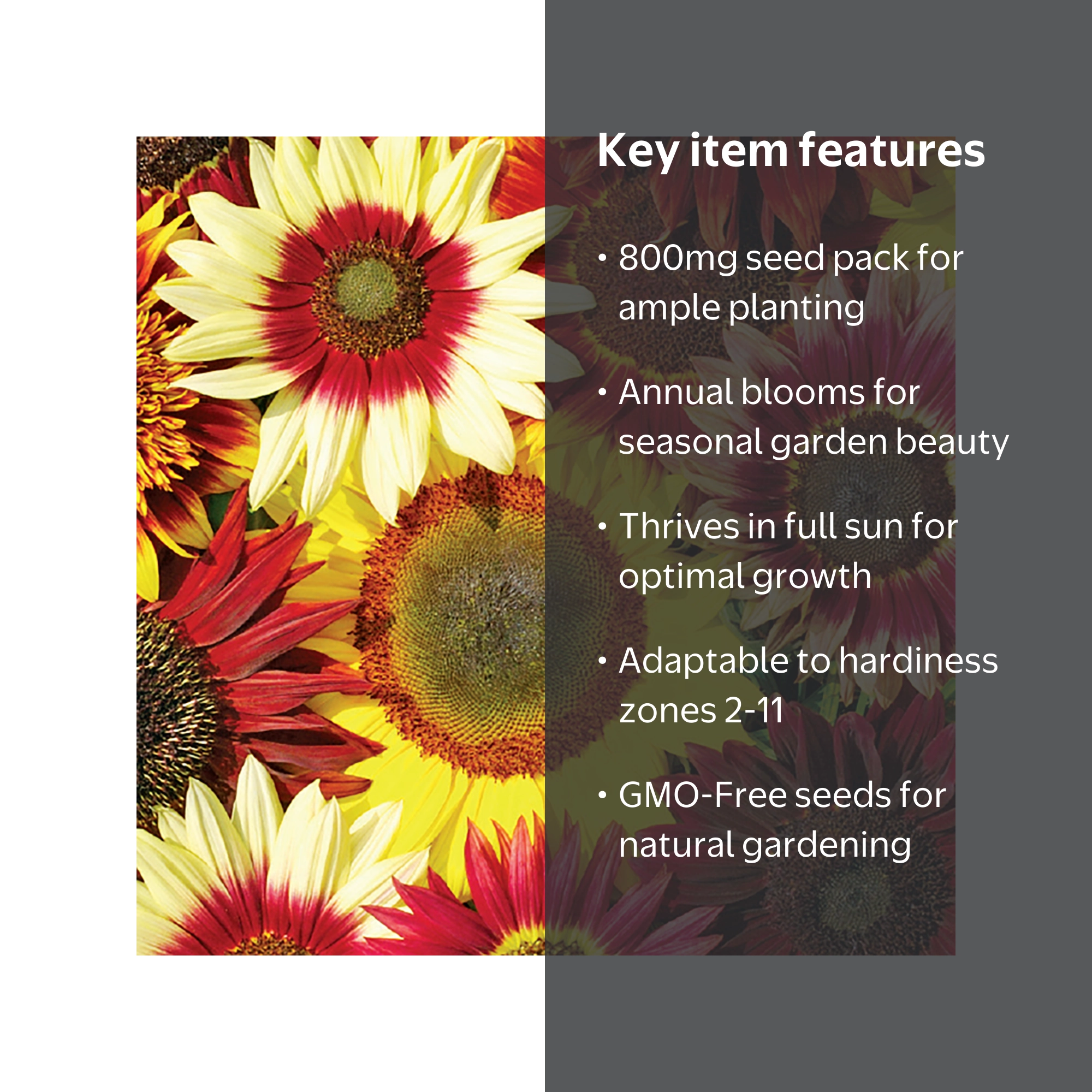 Ferry-Morse 800MG Sunflower Summertime Mix Annual Flower Seeds
